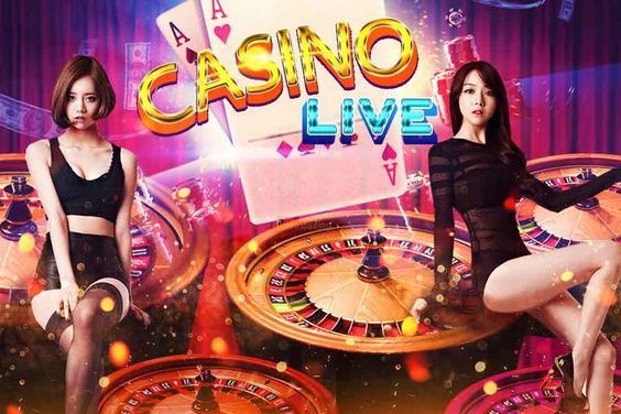 cryptowild casino